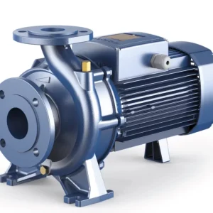 Pedrollo F 40/160B Flanşlı Santrifüj Pompa