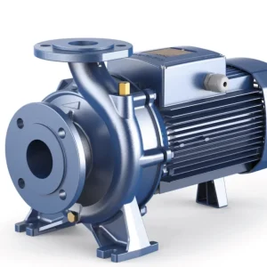 Pedrollo F 50/125C Flanşlı Santrifüj Pompa