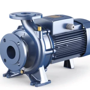 Pedrollo F 65/160C Flanşlı Santrifüj Pompa