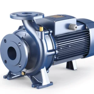 Pedrollo F 65/200A Flanşlı Santrifüj Pompa