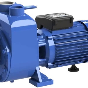 Sumak DSM220/2 Klapeli Santrifüj Pompa