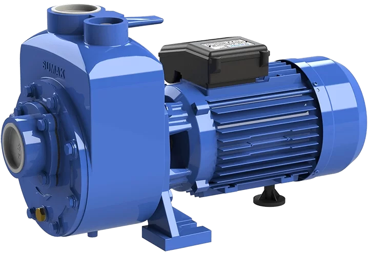 Sumak DSM220/2 Klapeli Santrifüj Pompa