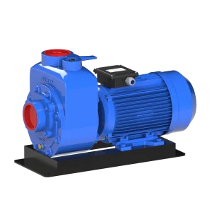 Sumak DSMT750/3 Klapeli Santrifüj Pompa